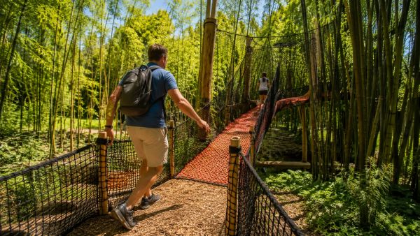 Visiter la bambouseraie d'anduze en famille : guide pratique